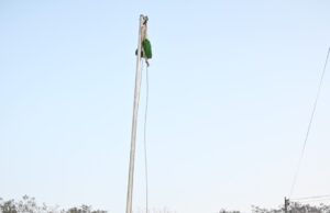 कलेक्टर श्री जन्मेजय महोबे ने कलेक्टोरेट में फहराया तिरंगा जिलेवासियों को गणतंत्र दिवस की दी बधाई और शुभकामनाएं