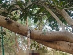 नरैया तालाब के पास पेड़ से लटकी मिली अज्ञात युवती की लाश
