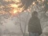 देशभर में ठंड का प्रकोप जारी: सरगुजा में पारा 4.6°C, उत्तर भारत से राजस्थान-झारखंड तक शीतलहर का असर