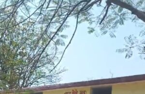 माध्यमिक शाला झलपी में शिक्षक पर फर्जी उपस्थिति का आरोप