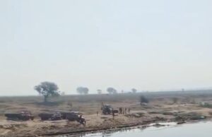 भास्कली नदी में बेतहाशा अवैध रेत खनन, ओड़िशा में डंप की जा रही है रेत