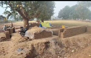 चान्दों वन परिक्षेत्र में अवैध कटाई का खुला खेल, ईंट भट्टों के लिए काटे जा रहे हजारों साल वृक्ष