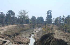 दलको बांध नहर टूटने से तीन गांवों की फसलें संकट में, किसान परेशान रामानुजगंज में खेतों में पानी नहीं मिलने से फसल सूखने की कगार पर