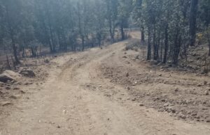 एमसीबी ब्रेकिंग | भरतपुर वनांचल क्षेत्र की बदहाल सड़क, ग्रामीण परेशान