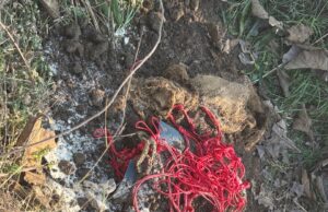 बीजापुर में सुरक्षाबलों की बड़ी कार्रवाई: 30 किलो और 5 किलो IED बरामद कर नष्ट, माओवादी स्मारक ध्वस्त