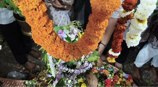 WhatsApp Image 2026-02-15 at 7.53.01 PM