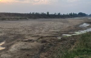 सूख गई मारकंडी नदी, अब मुरझाने लगी मक्के की फसल