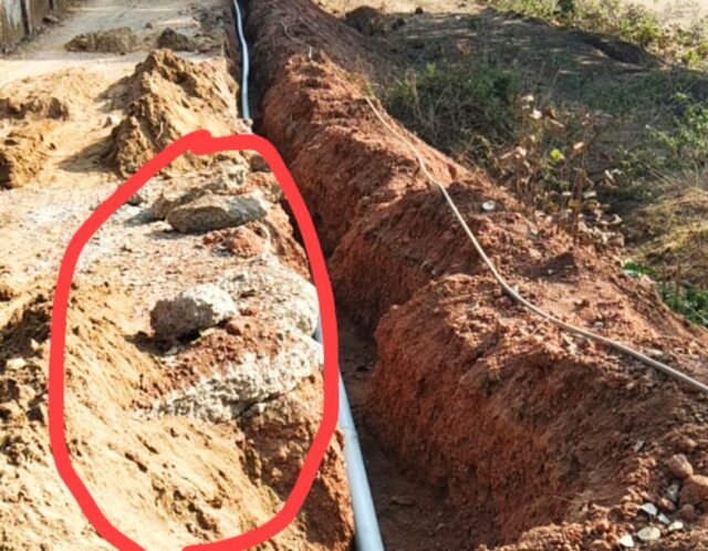 WhatsApp Image 2026-02-20 at 7.56.57 PM