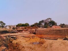 जमीन पर बेजाकब्जा कब्जा कर उपसरपंच ने किया अवैध निर्माण ; सरकारी जमीन पर भी ईंट भट्ठा का संचालन करने की हुई शिकायत, अतिरिक्त तहसीलदार के नोटिस के बाद भी नहीं हुआ असर