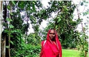 जल जीवन मिशन से मांगामार में अब हर घर जल 522 घरों में नल कनेक्शन से पानी के लिए हैंडपंपों और कुओं पर निर्भरता खत्म