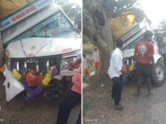 हाड़ी गांव के पास पिकअप वाहन पेड़ से टकराई, बड़ा हादसा टला