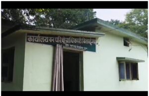 वन विभाग के रेल कॉरिडोर कक्ष क्रमांक 408 में लगी भीषण आग हजारों पेड़ जलकर हुई खाक