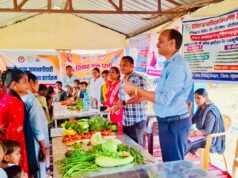 नक्सलवाद के अंधेरे को चीर रही विकास की रोशनी: दुब्बामरका में सरकारी योजनाओं की ‘दस्तक’