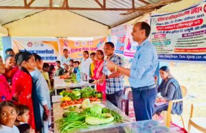 नक्सलवाद के अंधेरे को चीर रही विकास की रोशनी: दुब्बामरका में सरकारी योजनाओं की ‘दस्तक’