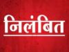 चांपा में पीडीएस चावल घोटाला उजागर, माँ काली सहकारी सोसायटी निलंबित