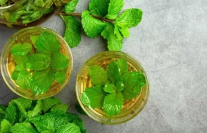 पुदीने के पत्तों का पानी: पेट की समस्याओं से राहत, इम्यूनिटी बूस्ट और गर्मियों में ठंडक देने वाला प्राकृतिक अमृत