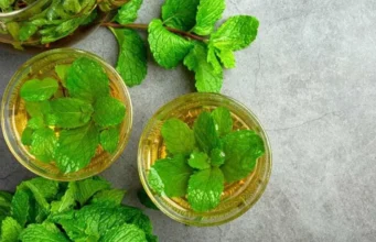 पुदीने के पत्तों का पानी: पेट की समस्याओं से राहत, इम्यूनिटी बूस्ट और गर्मियों में ठंडक देने वाला प्राकृतिक अमृत