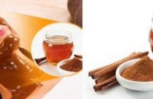शहद और दालचीनी से बनाएं नेचुरल फेस पैक: मुहांसों और दाग-धब्बों से पाएं छुटकारा