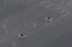 ड्रोन युद्ध के दौर में भारत की बड़ी छलांग: ‘यमा’ एंटी-ड्रोन इंटरसेप्टर का सफल परीक्षण