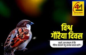 विश्व गौरैया दिवस: घटती गौरैया की संख्या पर बढ़ी चिंता, संरक्षण के लिए देशभर में अभियान तेज