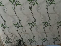 विश्व प्लंबिंग दिवस: शहरों को जिंदा रखने वाले उस गुमनाम हीरो को सलाम