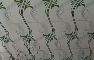 विश्व प्लंबिंग दिवस: शहरों को जिंदा रखने वाले उस गुमनाम हीरो को सलाम