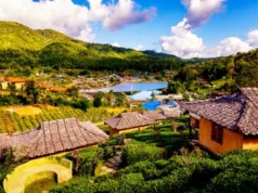 ऊटी, तमिलनाडु: नीलगिरी हिल्स की ठंडी हवाएँ, बोटैनिकल गार्डन और खूबसूरत ट्रेकिंग रूट्स का अद्भुत अनुभव