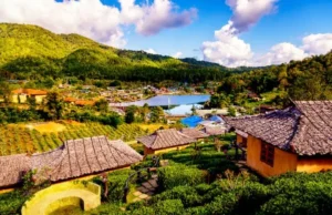 ऊटी, तमिलनाडु: नीलगिरी हिल्स की ठंडी हवाएँ, बोटैनिकल गार्डन और खूबसूरत ट्रेकिंग रूट्स का अद्भुत अनुभव