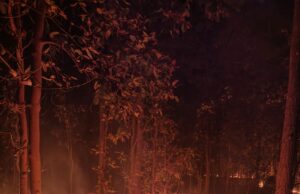 वनों में लग रही भीषण आग विभागीय कर्मियों ने साधा मौन