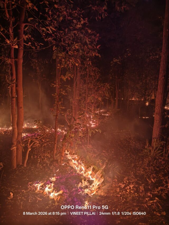 65149f23-ed4b-4af9-bb74-cd8b5fb72826