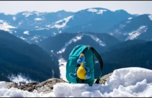 झुलसाती गर्मी से भागकर ठंडी वादियों में सुकून ढूंढना है? बर्फ, बादल और एडवेंचर के शानदार संगम के साथ मनाली बना इस सीजन का परफेक्ट समर वेकेशन डेस्टिनेशन