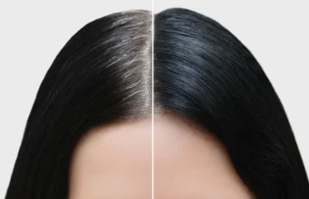 सफेद बालों को काला करने का आसान घरेलू नुस्खा: नारियल तेल और करी पत्तों से पाए स्वस्थ और घने बाल