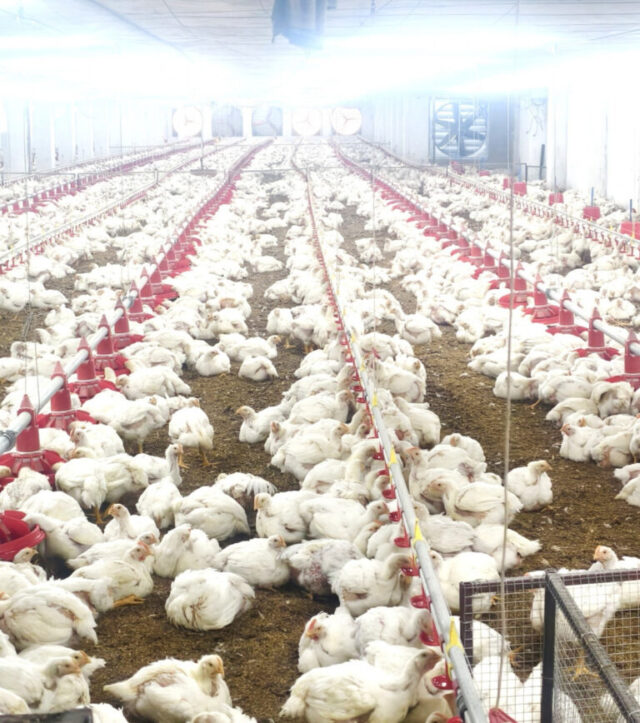 8dd0f1f4-767d-4229-9c91-c1ee0c6ee74a