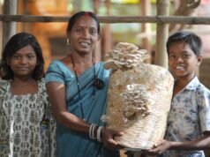 बालको की उन्नति परियोजना ने बदली ज़िंदगी, गंगोत्री से मशरूम दीदी बनने का सफर