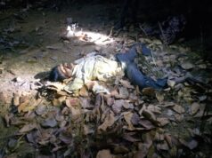 1104 क्विंटल धान का महीनों से नहीं हुआ उठाव, कुदमुरा उपार्जन केंद्र में जंगली हाथी का हमला; फड़ प्रभारी राजेश सिंह की मौत के बाद हरकत में आया प्रशासन