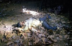 1104 क्विंटल धान का महीनों से नहीं हुआ उठाव, कुदमुरा उपार्जन केंद्र में जंगली हाथी का हमला; फड़ प्रभारी राजेश सिंह की मौत के बाद हरकत में आया प्रशासन