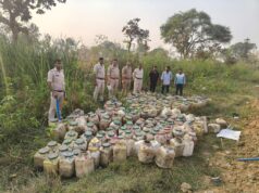 बिलासपुर में अवैध शराब पर पुलिस का बड़ा एक्शन: 6000 किलो महुआ लाहन जब्त, झाड़ियों में छिपाए 300 डिब्बे बरामद
