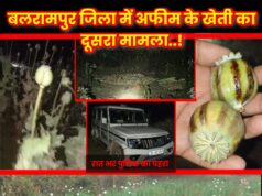 बलरामपुर जिला के कुसमी विकास खण्ड में दूसरे अवैध अफीम की खेती का मामला आया सामने, त्रिपुरी के बाद अब खजुरी के तुर्रीपानी में उग रहा अवैध अफीम, मौके पर पुलिस कर रही पहरा
