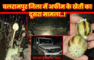 बलरामपुर जिला के कुसमी विकास खण्ड में दूसरे अवैध अफीम की खेती का मामला आया सामने, त्रिपुरी के बाद अब खजुरी के तुर्रीपानी में उग रहा अवैध अफीम, मौके पर पुलिस कर रही पहरा