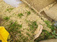 धान खरीदी केंद्र पर पानी डालकर धान भिगोने का मामला,