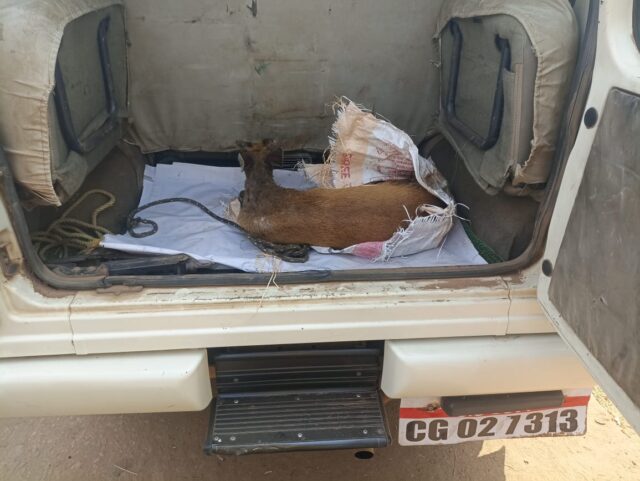 WhatsApp Image 2026-03-16 at 11.32.35 AM (1)