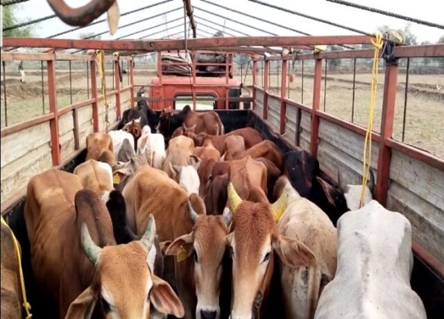 WhatsApp Image 2026-03-16 at 7.10.26 PM