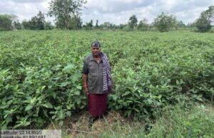 सफलता की कहानी – परंपरागत खेती छोड़ आधुनिक खेती से बदली तकदीर