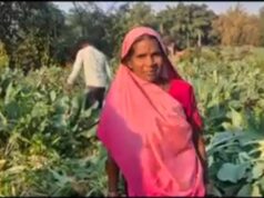 बाड़ी से आत्मनिर्भरता तक का सफर उदासिया देवी को मिली समूह के जरिए आत्मनिर्भता की राह