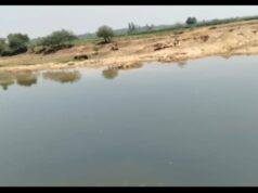 दोगुनी रफ्तार से रेत का अवैध खनन और परिवहन, रेत माफिया को सियासी एवं विभागीय संरक्षण