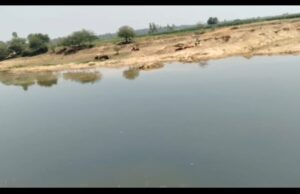 दोगुनी रफ्तार से रेत का अवैध खनन और परिवहन, रेत माफिया को सियासी एवं विभागीय संरक्षण