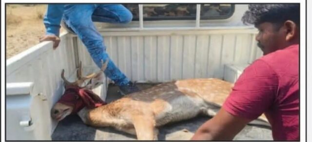 WhatsApp Image 2026-03-25 at 8.47.12 PM