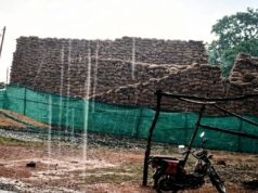 ग्राम भूलसी कला में लापरवाही उजागर, हजारों क्विंटल धान बारिश में भीगा, किसानों की मेहनत पर संकट