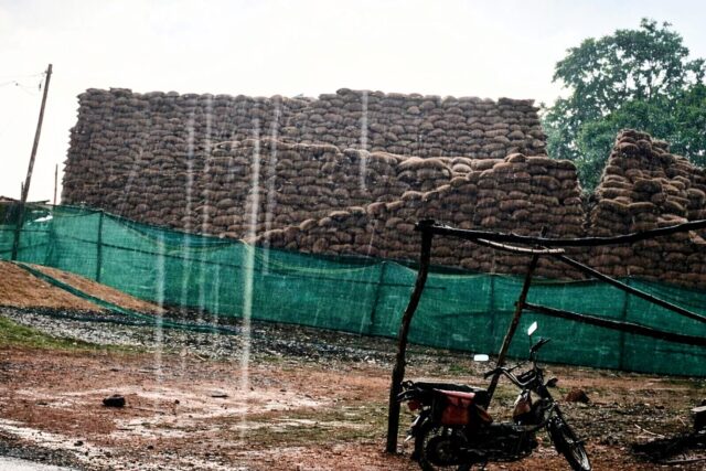 WhatsApp Image 2026-03-29 at 11.11.50 AM