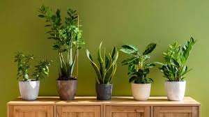 download - 2026-03-14T113655.524